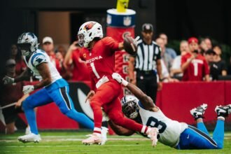 arizona cardinals vs carolina panthers match player stats