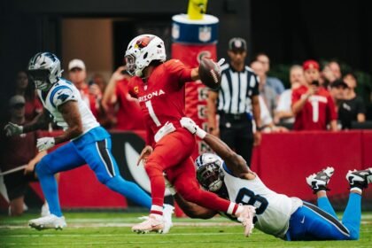 arizona cardinals vs carolina panthers match player stats