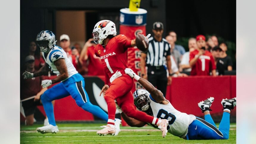 arizona cardinals vs carolina panthers match player stats